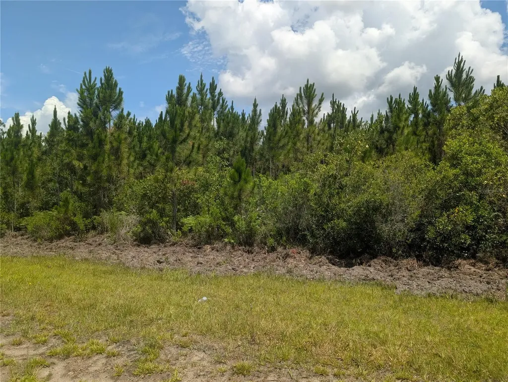 106 Japonica Drive Indian Lake Estates FL 33855
