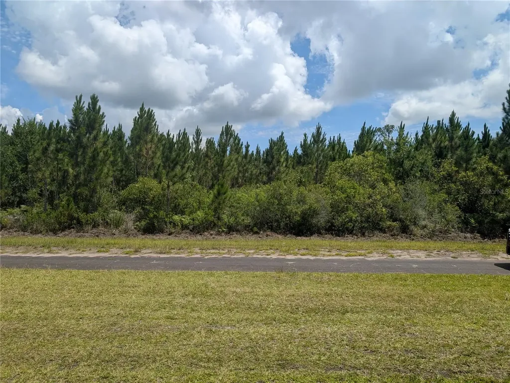 106 Japonica Drive Indian Lake Estates FL 33855