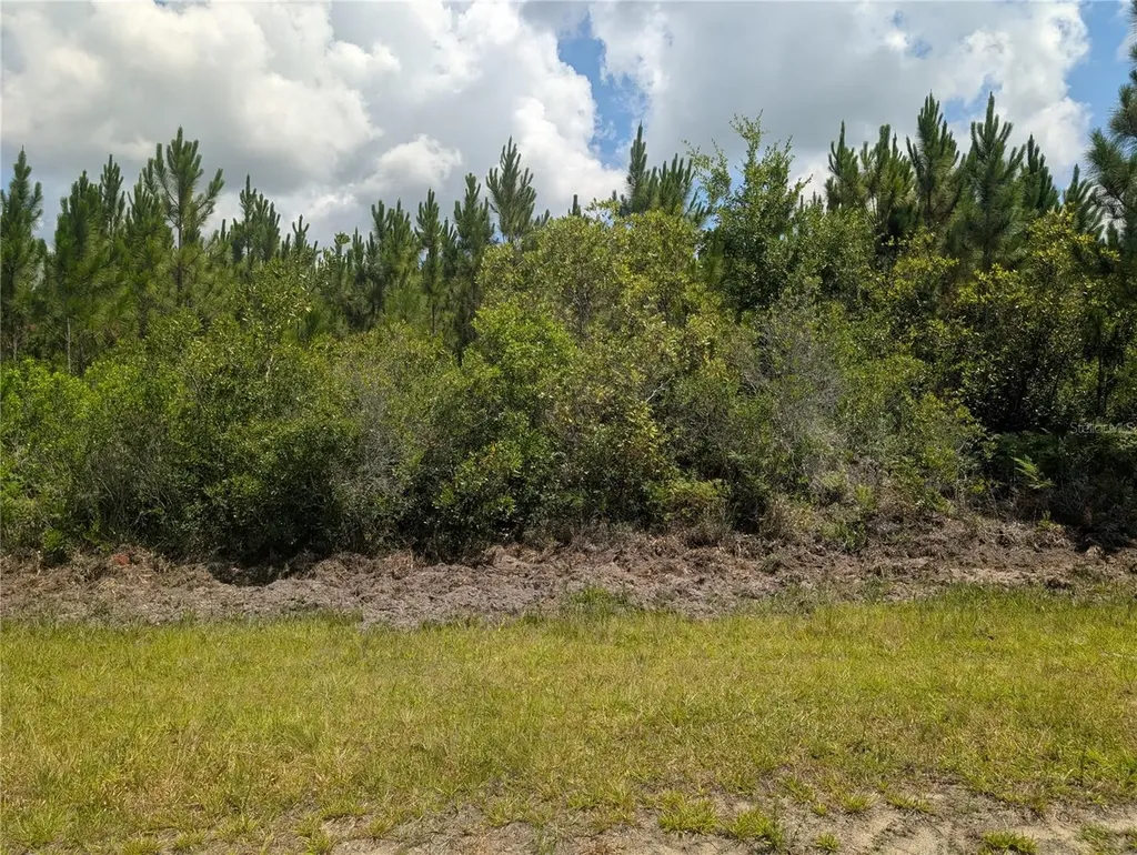 106 Japonica Drive Indian Lake Estates FL 33855