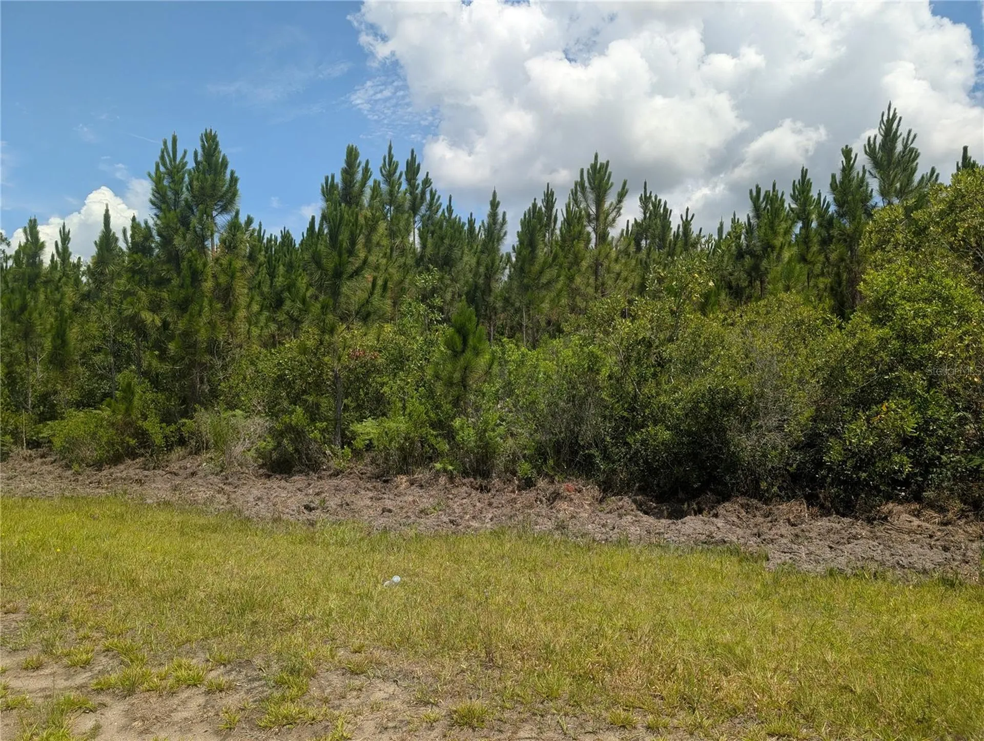 106 Japonica Drive Indian Lake Estates FL 33855