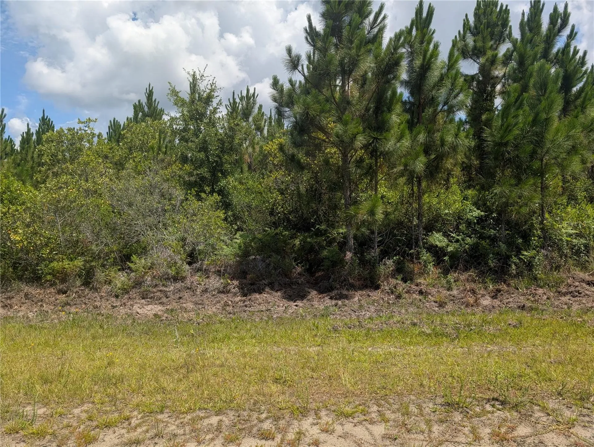 106 Japonica Drive Indian Lake Estates FL 33855