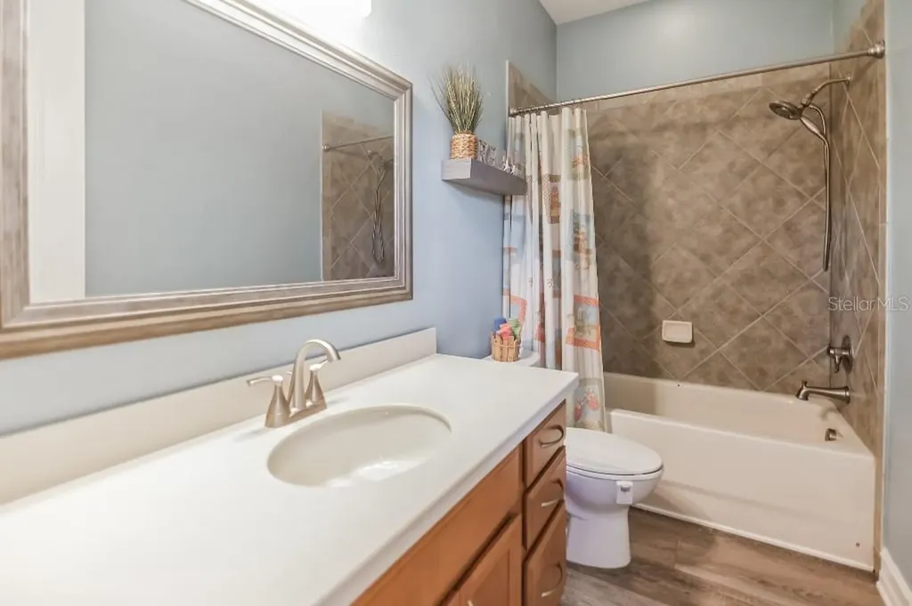 1340 Ribolla Drive Palm Harbor FL 34683