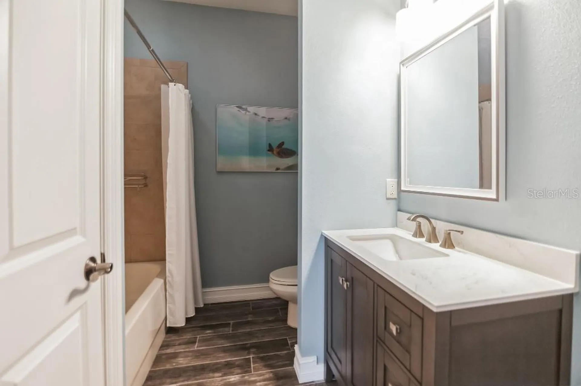 1340 Ribolla Drive Palm Harbor FL 34683