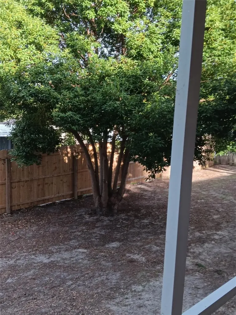 115 N Ramona Avenue Lake Alfred FL 33850