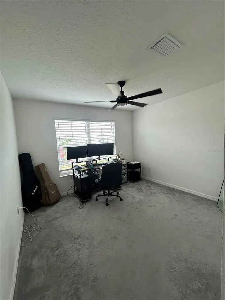 7328 Catinazzo Court Middleton FL 34762