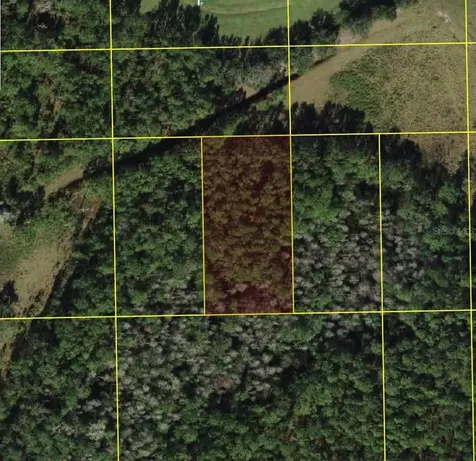Polk City Polk City FL 33868