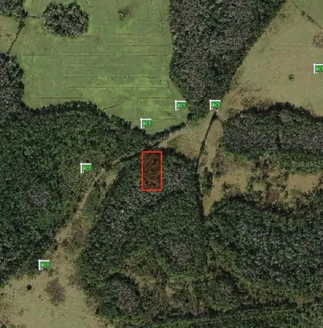 Polk City Polk City FL 33868
