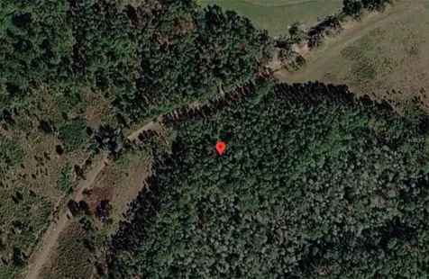 Polk City Polk City FL 33868