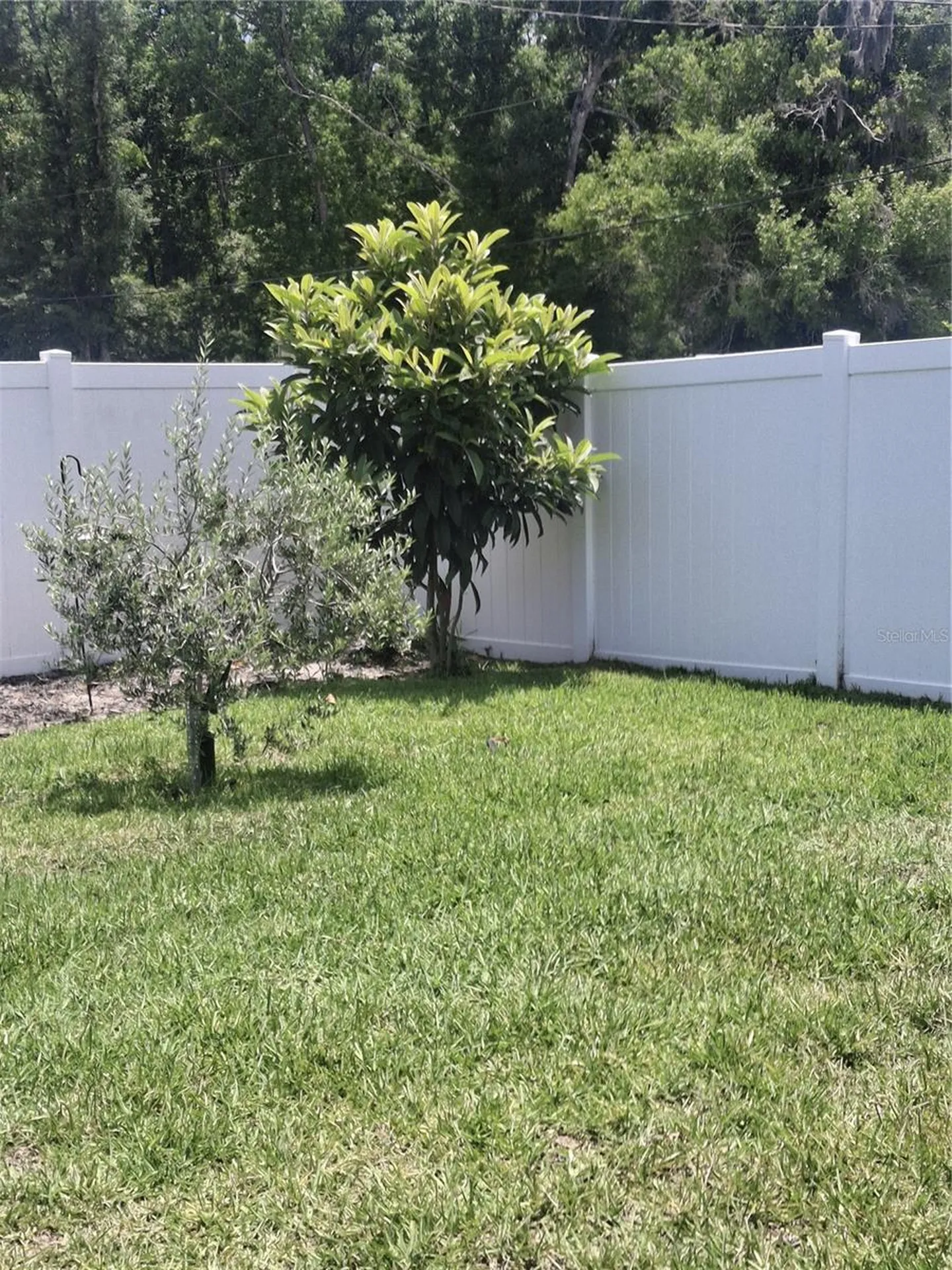 12618 Vander Way New Port Richey FL 34654