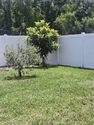 12618 Vander Way New Port Richey FL 34654