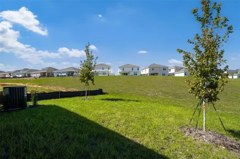 2100 Maverick Court Minneola FL 34715