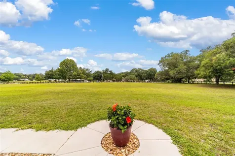 435 NE 155th Street Road Citra FL 32113