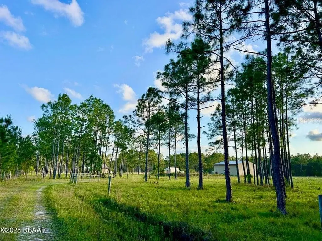 201 Wasick Lane Ormond Beach FL 32174