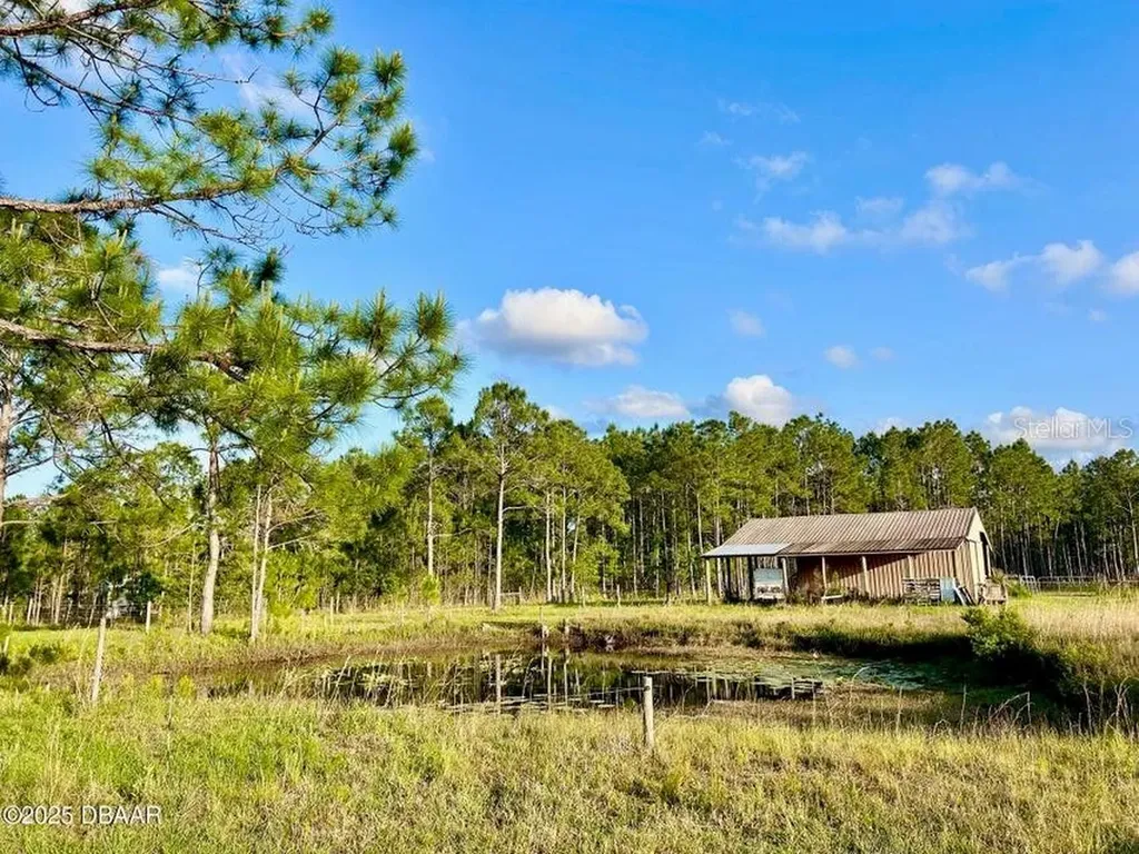 201 Wasick Lane Ormond Beach FL 32174