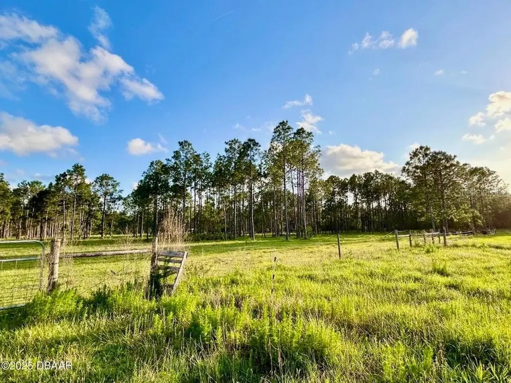 201 Wasick Lane Ormond Beach FL 32174