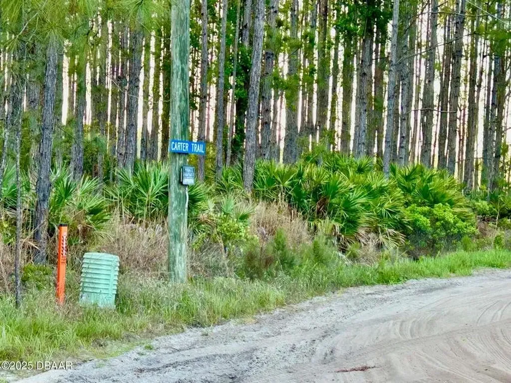 201 Wasick Lane Ormond Beach FL 32174