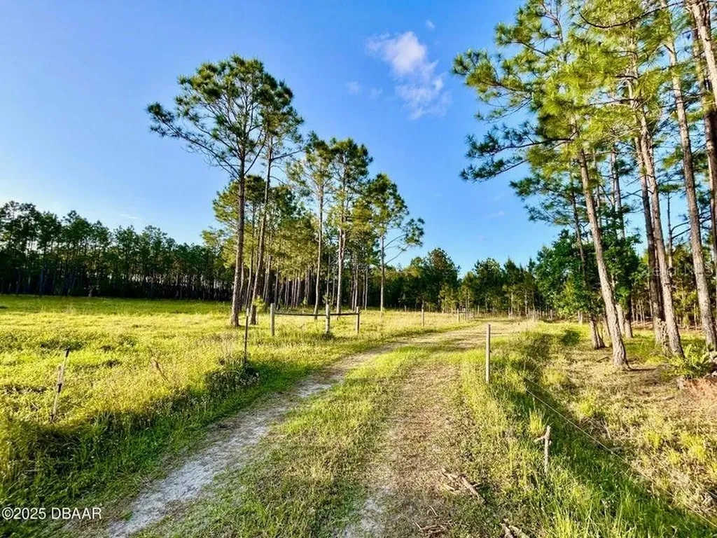 201 Wasick Lane Ormond Beach FL 32174