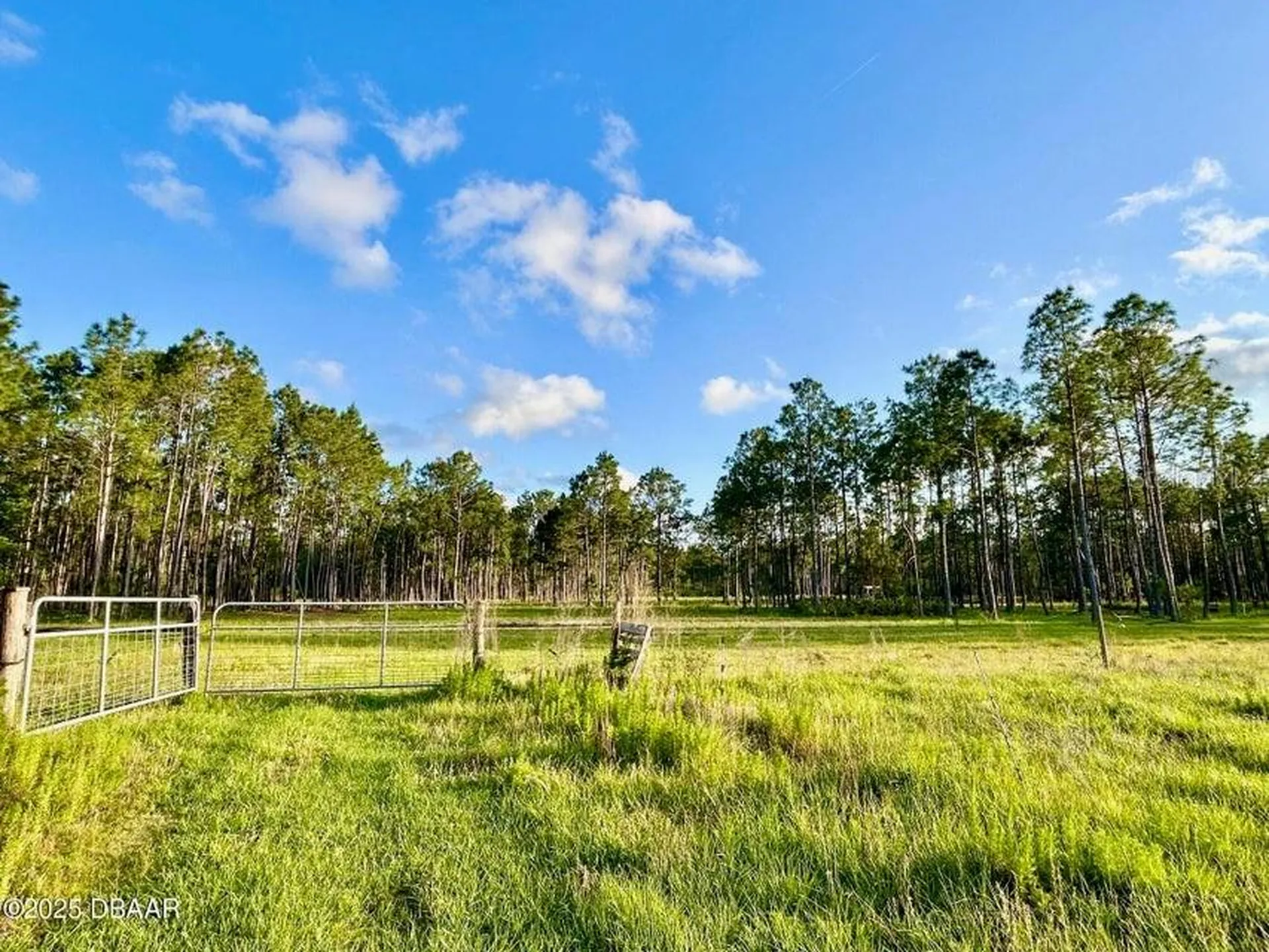 201 Wasick Lane Ormond Beach FL 32174