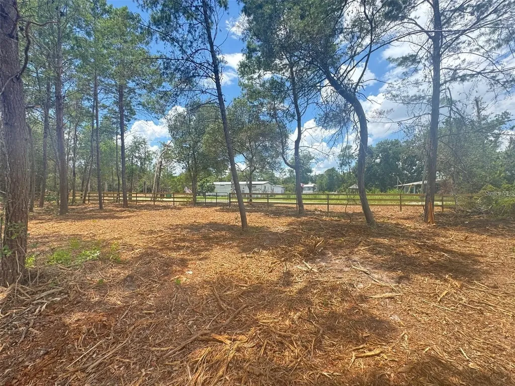 E Pine Street Paisley FL 32767