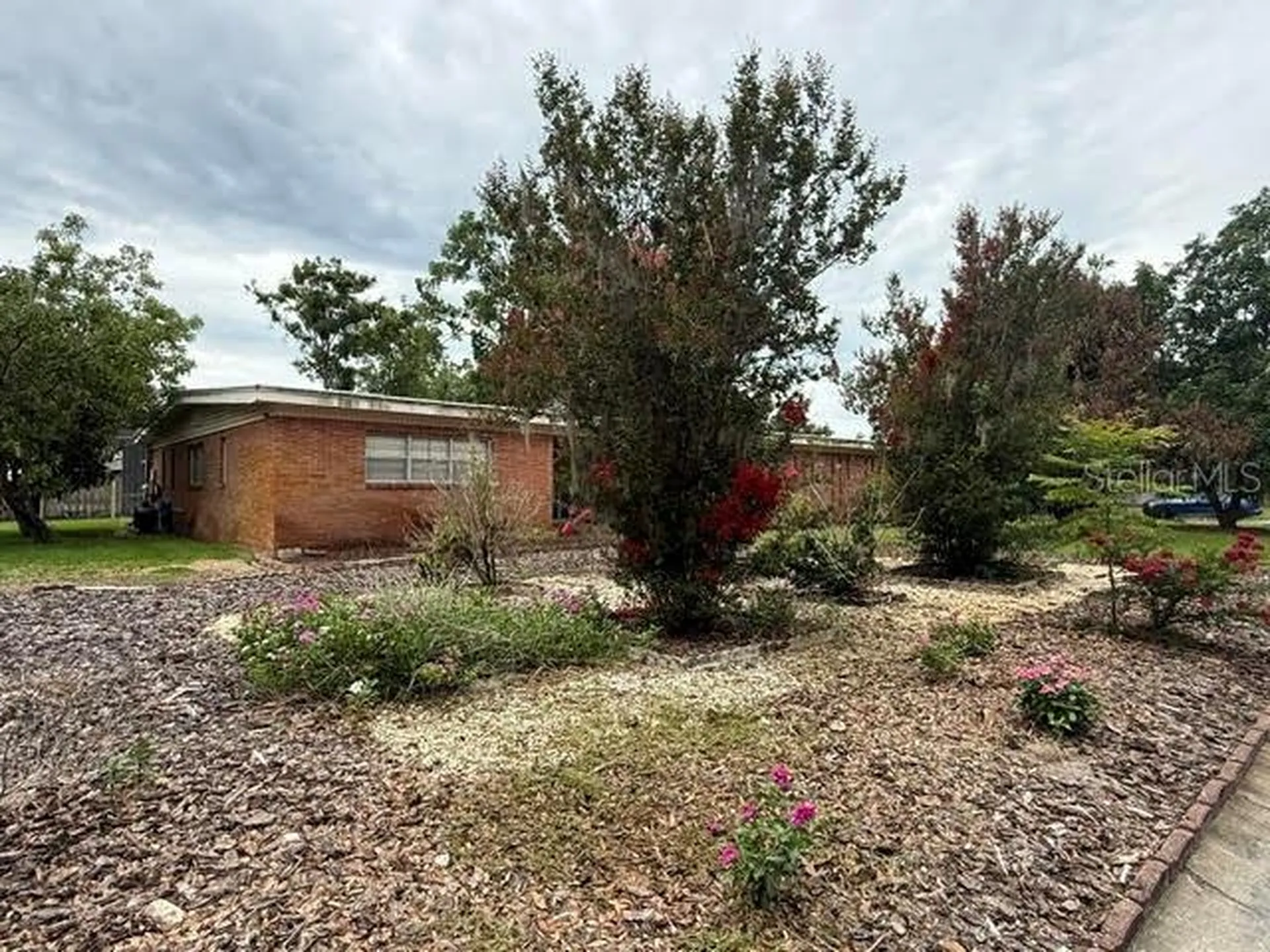 605 Courtney Drive Tampa FL 33617