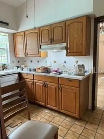 605 Courtney Drive Tampa FL 33617