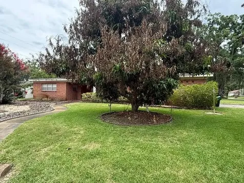 605 Courtney Drive Tampa FL 33617