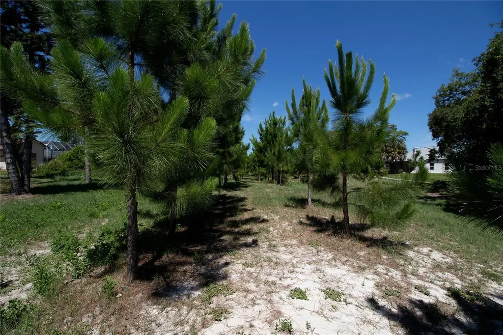 8933 Thoreau Place Hudson FL 34667