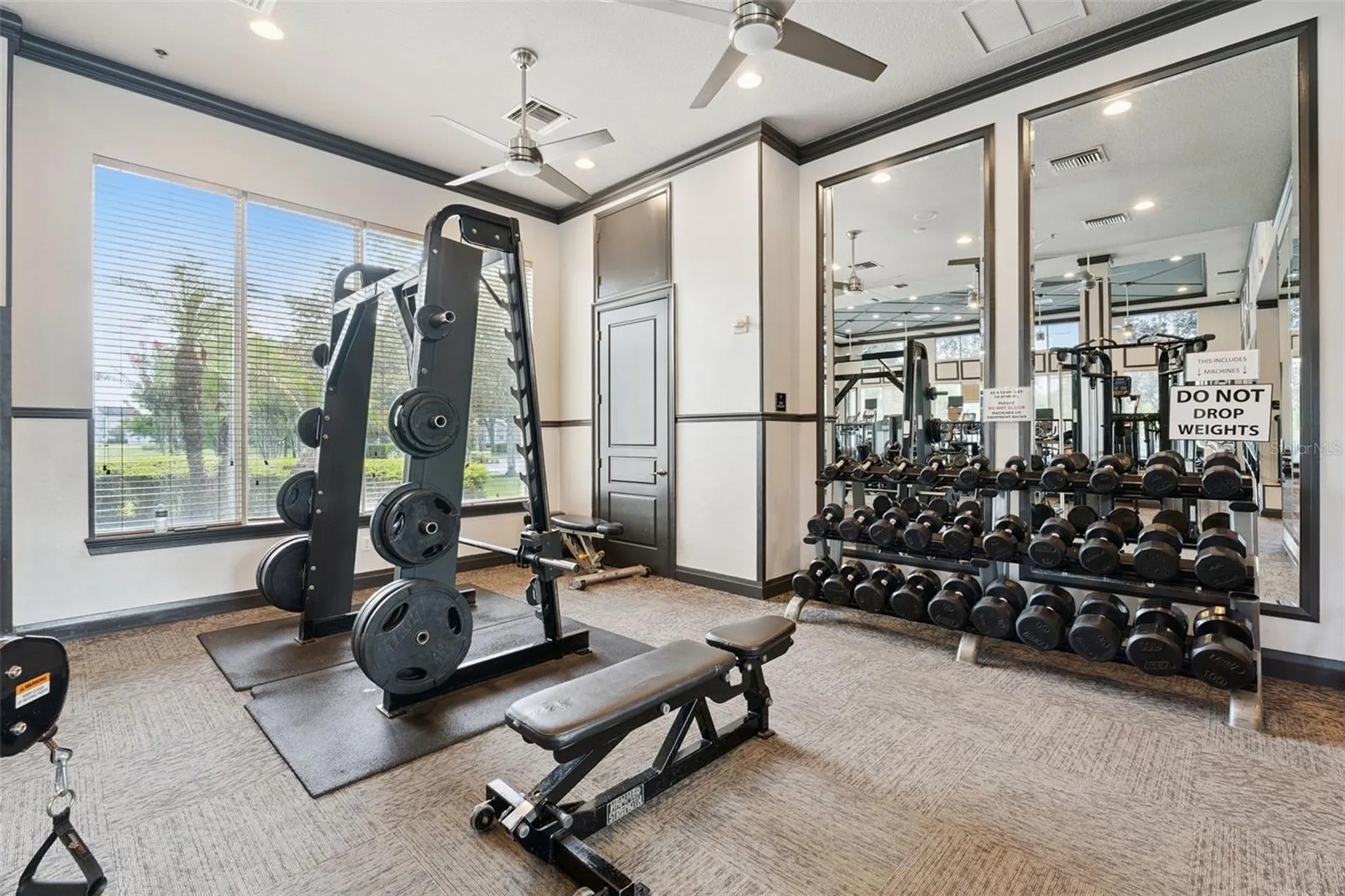 14563 Michener Trail Orlando FL 32828