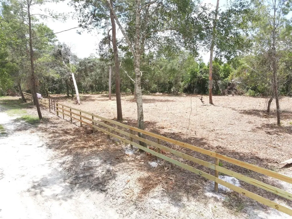 W Pine Street Paisley FL 32767