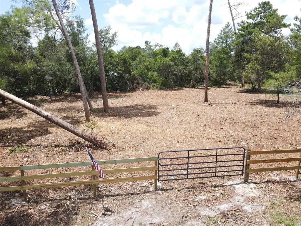 W Pine Street Paisley FL 32767