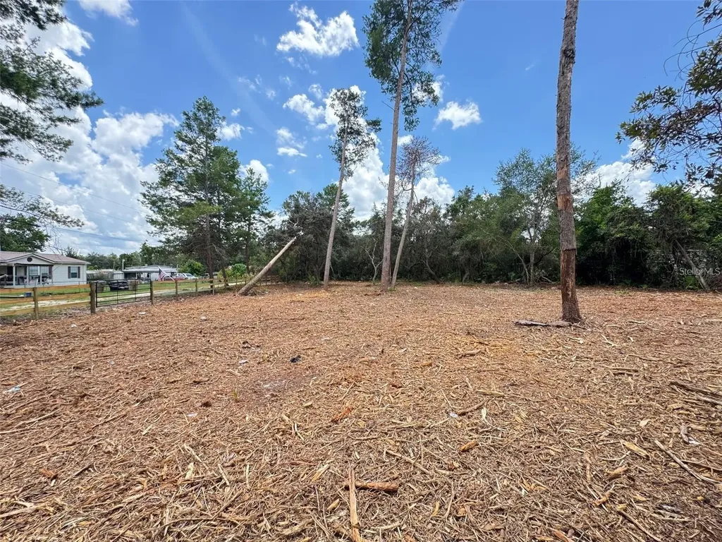 W Pine Street Paisley FL 32767