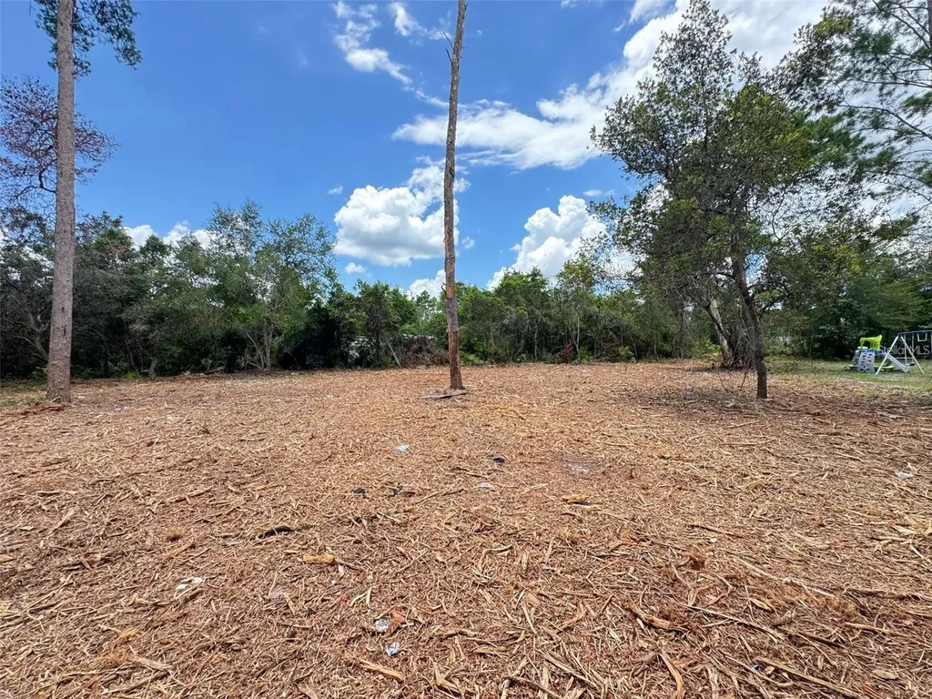 W Pine Street Paisley FL 32767