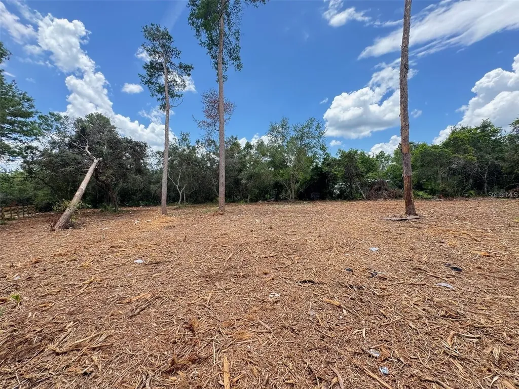 W Pine Street Paisley FL 32767