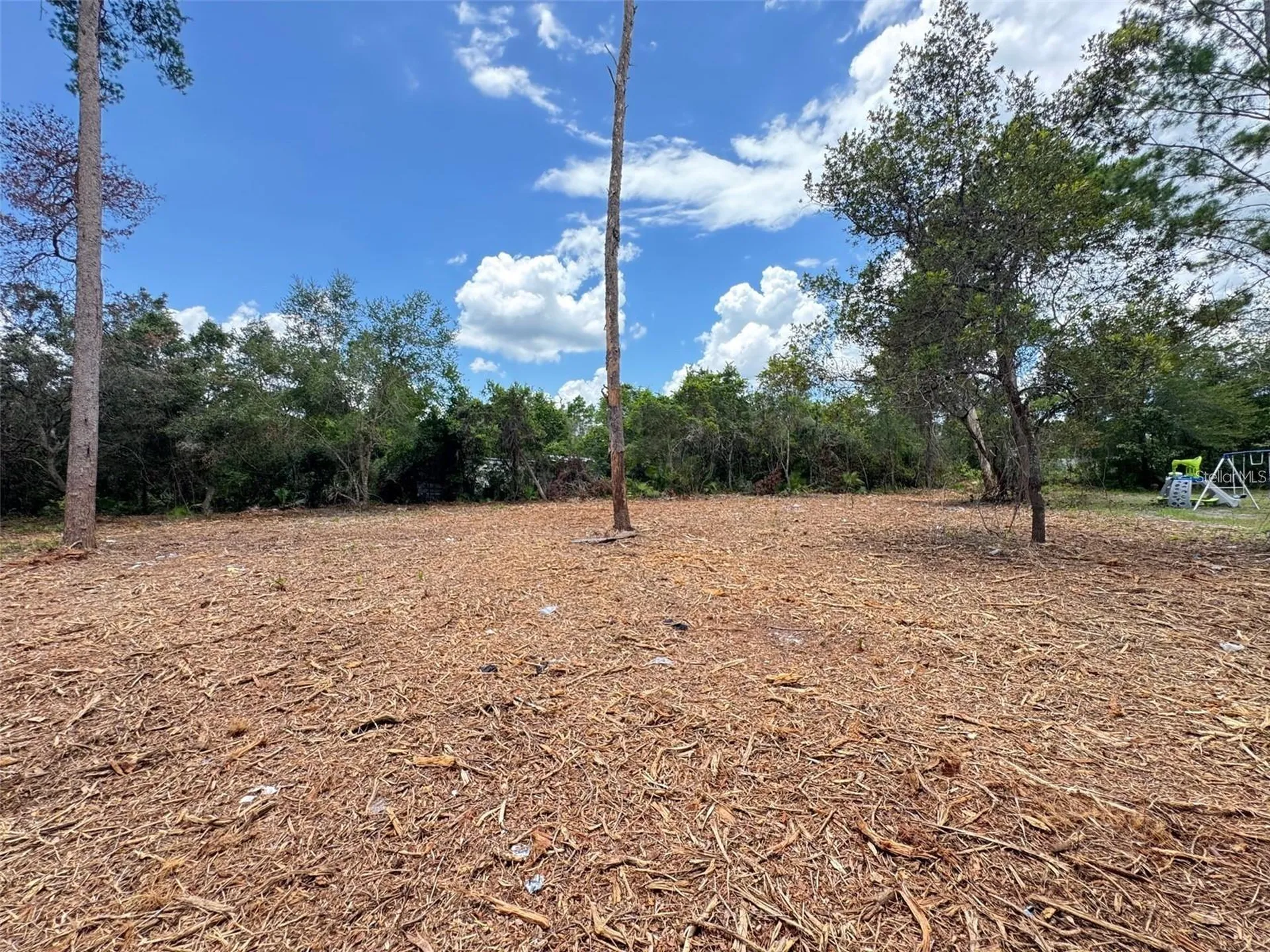 W Pine Street Paisley FL 32767