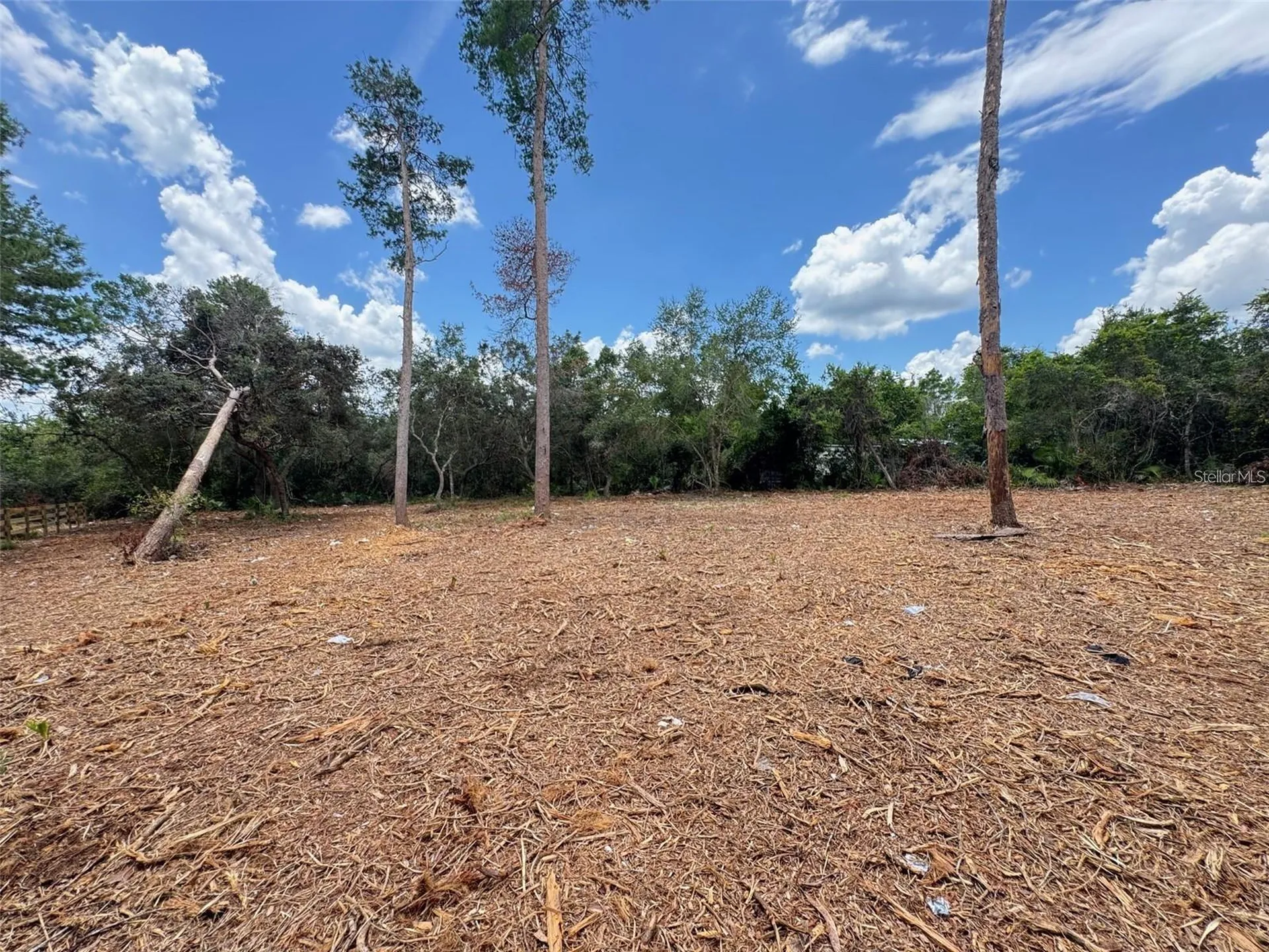 W Pine Street Paisley FL 32767