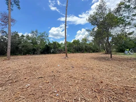 W Pine Street Paisley FL 32767