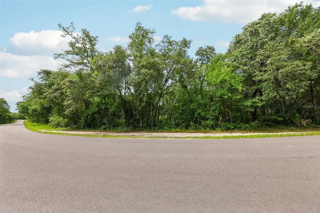 33340 Tombstone Street Webster FL 33597