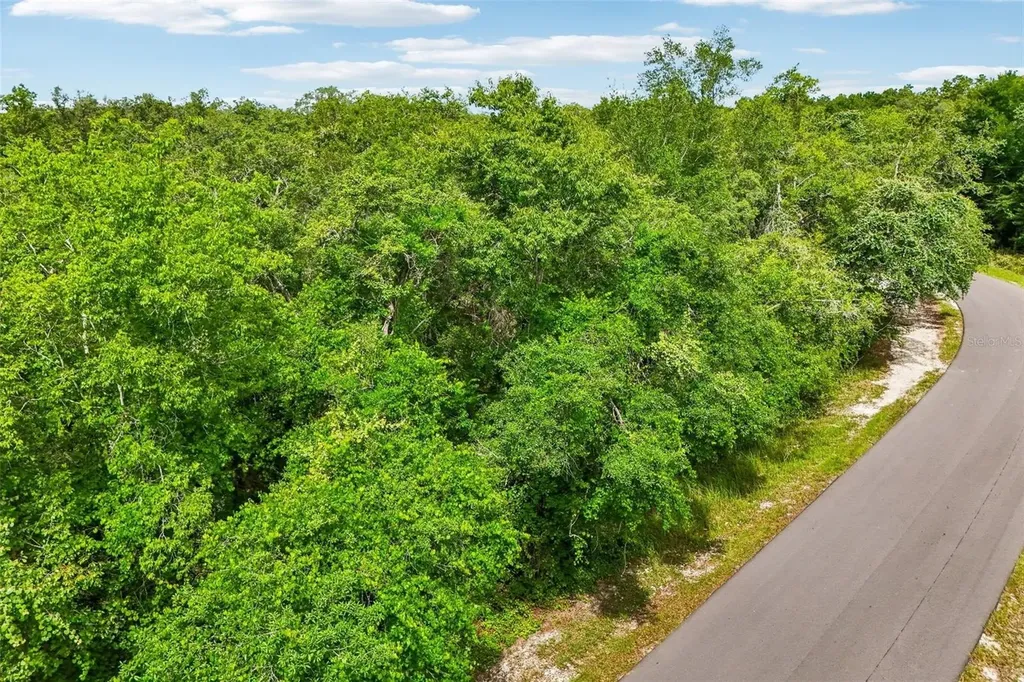 33340 Tombstone Street Webster FL 33597