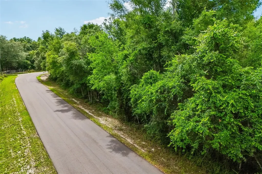 33340 Tombstone Street Webster FL 33597