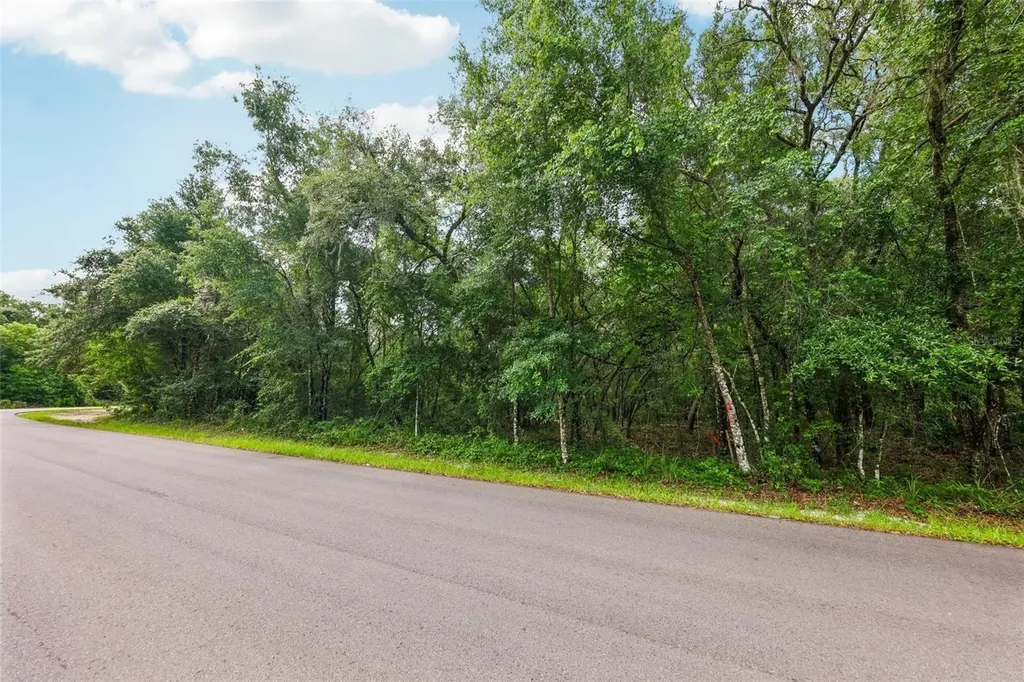 33340 Tombstone Street Webster FL 33597