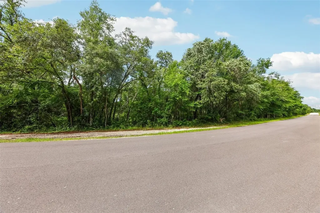 33340 Tombstone Street Webster FL 33597