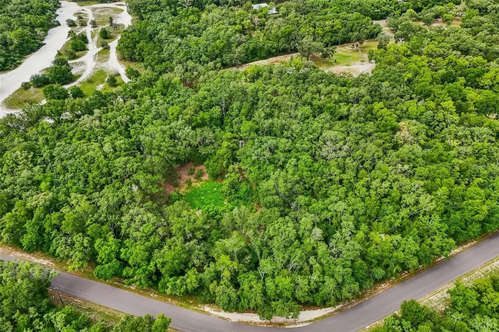 33340 Tombstone Street Webster FL 33597