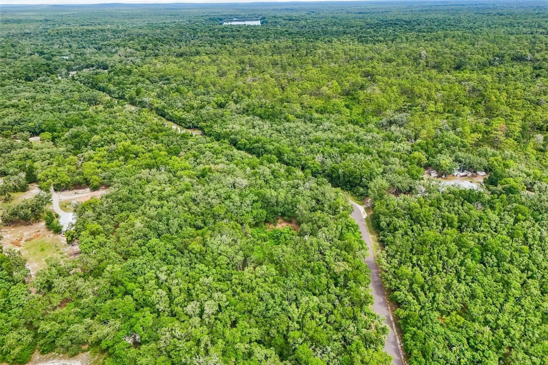 33340 Tombstone Street Webster FL 33597