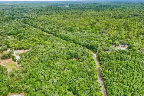 33340 Tombstone Street Webster FL 33597