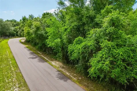 33340 Tombstone Street Webster FL 33597