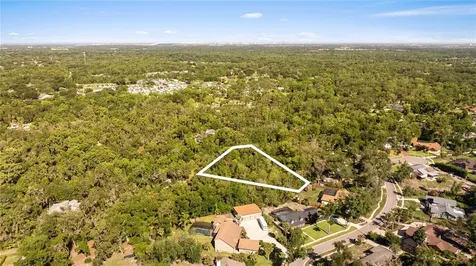 4706 Rambling River Road Brandon FL 33511