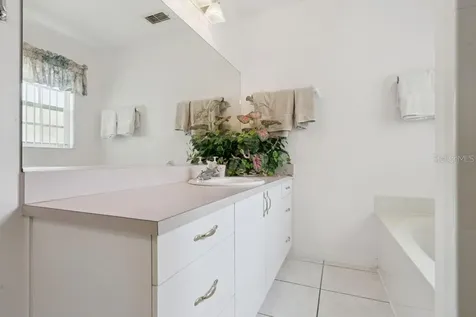 2802 Drifting Lilly Loop Kissimmee FL 34747