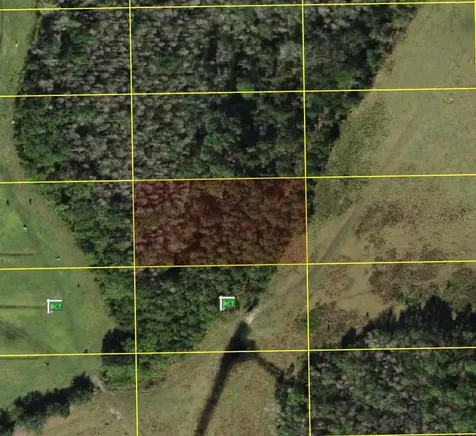 Polk City Polk City FL 33868