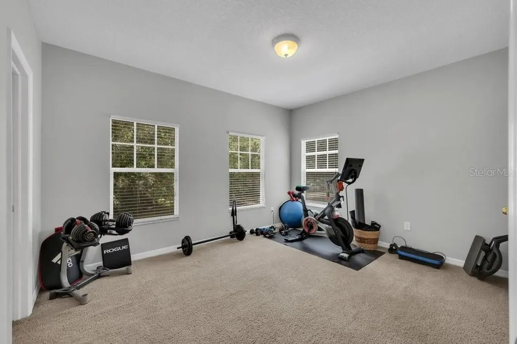 16007 Mulberrypark Circle Lithia FL 33547