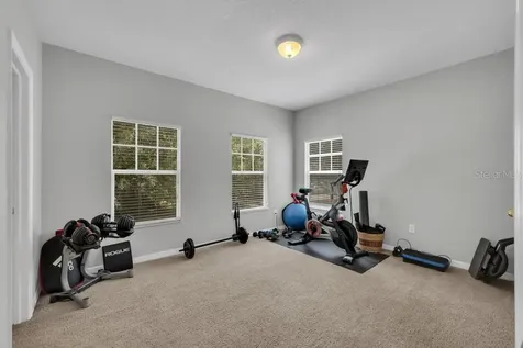 16007 Mulberrypark Circle Lithia FL 33547